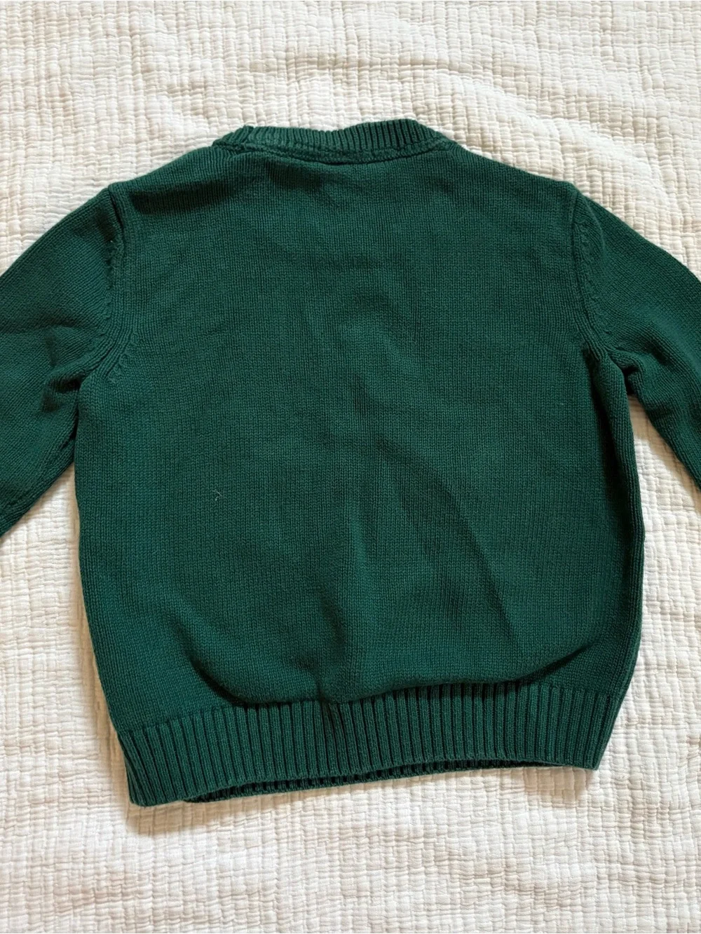 Gymboree Green Bear Crewneck Sweater